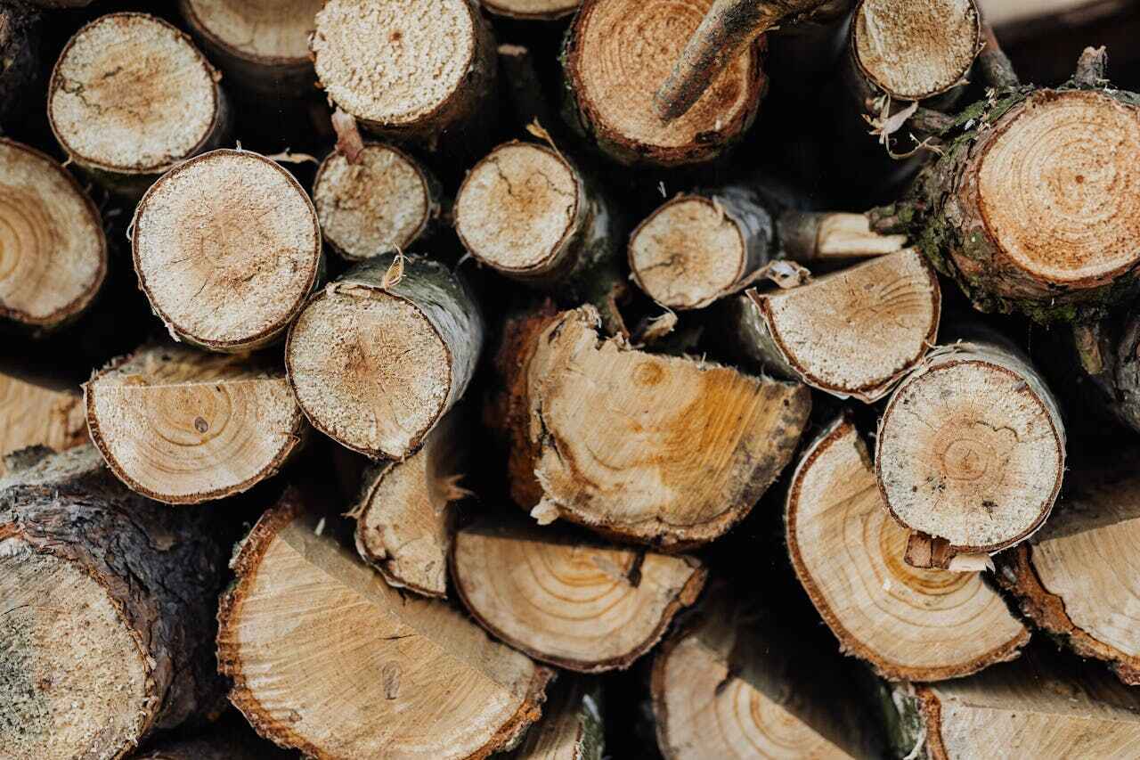 Best Tree Clearing Services  in Lindsay, OK